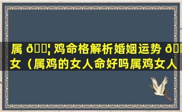 属 🐦 鸡命格解析婚姻运势 🐝 女（属鸡的女人命好吗属鸡女人婚姻与命运解析）